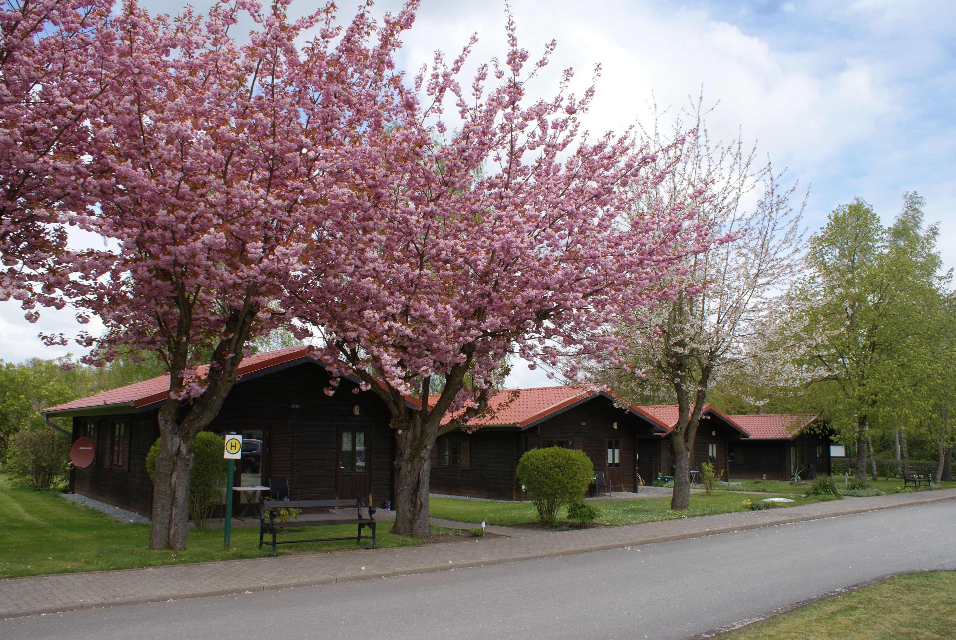 Bungalows